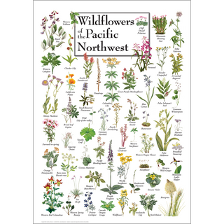 Wildflowers of the Pacific Northwest