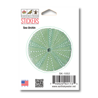 Sea Urchin II - Earth Sky + Water