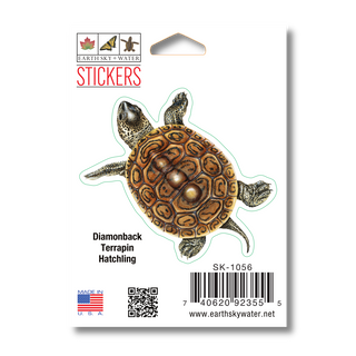 Diamondback Terrapin - Earth Sky + Water