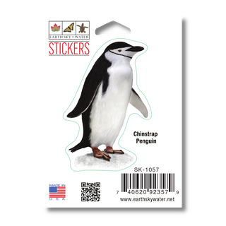 Chinstrap Penguin - Earth Sky + Water