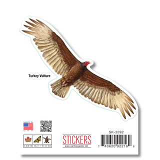 Turkey Vulture - Earth Sky + Water