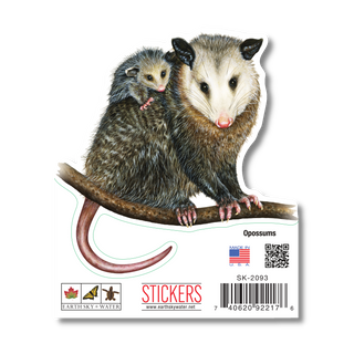 Opossums - Earth Sky + Water