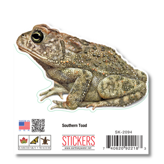 Southern Toad - Earth Sky + Water