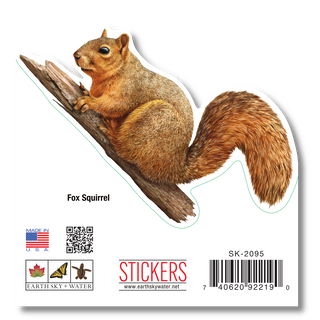 Fox Squirrel - Earth Sky + Water
