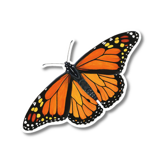 Monarch Butterfly - Earth Sky + Water