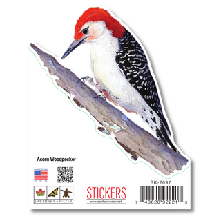 Red-Bellied Woodpecker - Earth Sky + Water