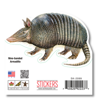 Nine-Banded Armadillo - Earth Sky + Water