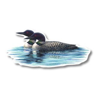 Common Loon Pair - Earth Sky + Water