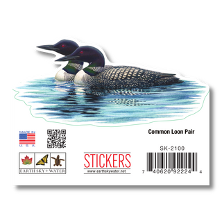 Common Loon Pair - Earth Sky + Water
