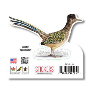 Greater Roadrunner - Earth Sky + Water