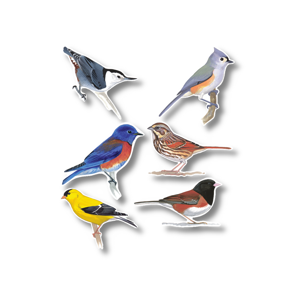 Stickers - Western Songbirds – Earth Sky + Water