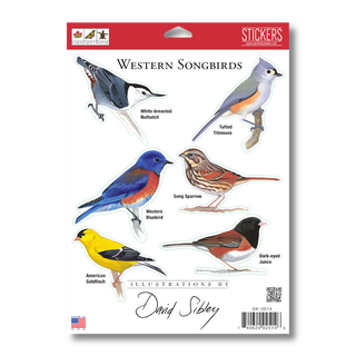 Western Songbirds - Earth Sky + Water