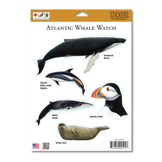 Atlantic Whalewatch - Earth Sky + Water