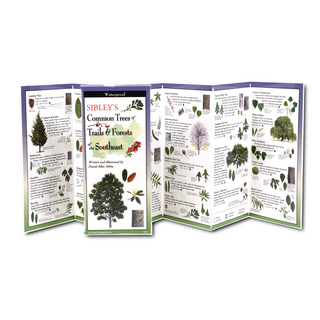Sibley's Common Trees of Trails & Forests of the Southeast image 1