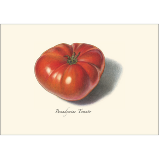 Tomato Assortment image 1