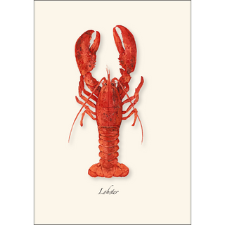 Lobster Assortment image 2