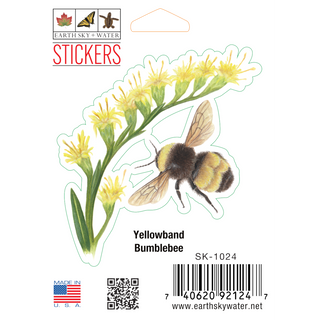 Yellowband Bumblebee image 0