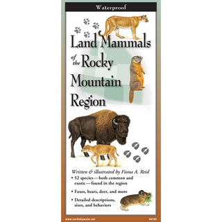 Land Mammals of the Rocky Mountain Region image 0
