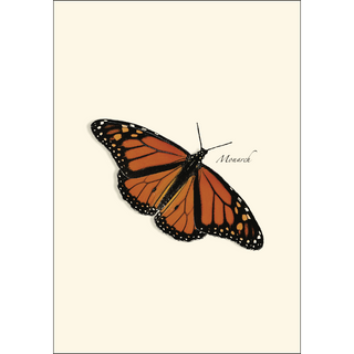 Butterfly Assortment image 2