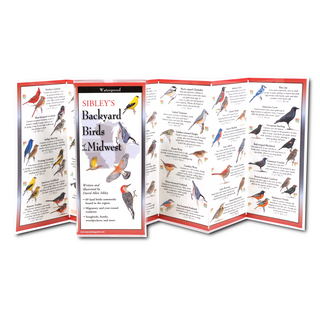 Sibley's Backyard Birds of the Midwest image 1