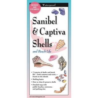 Sanibel & Captiva Shells and Beach Life image 0