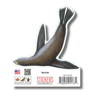 Sea Lion image 1