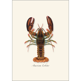Lobster image 1
