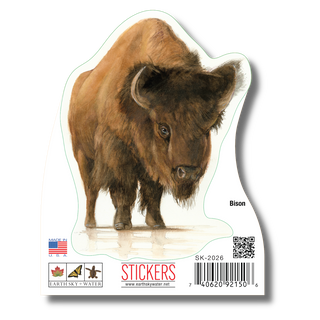 Bison image 1