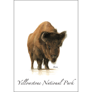 Bison II image 0
