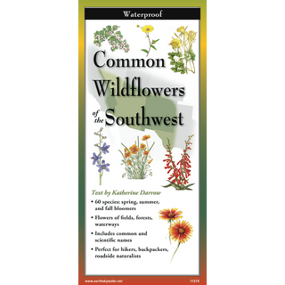 Common Wildflowers of the Southwest image 0