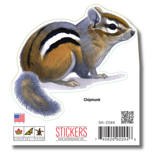 Chipmunk image 1