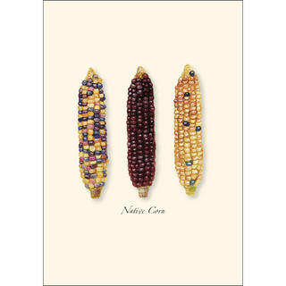 Native Corn image 1