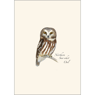 Sibley Owl Assortment image 1