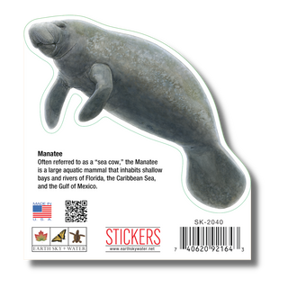 Manatee image 1