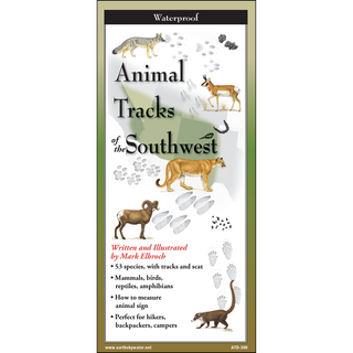 Animal Tracks of the Southwest image 0