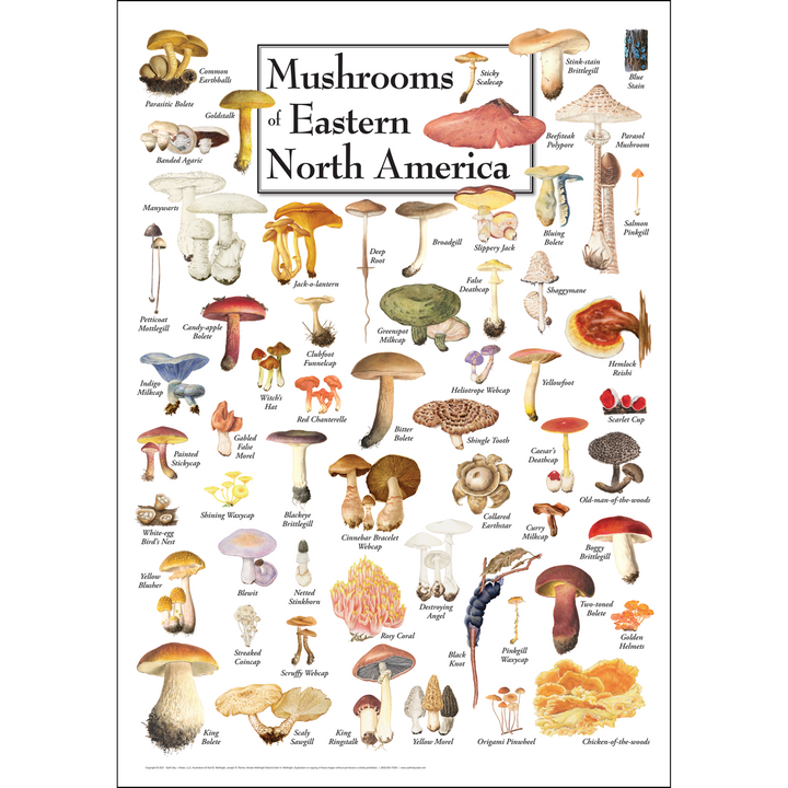 Great Plains Posters