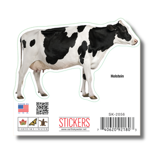 Holstein Cow image 1