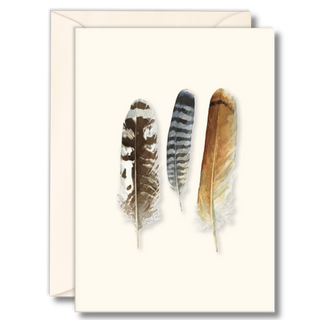 Raptor Feathers image 0