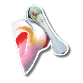 Roseate Spoonbill I image 0