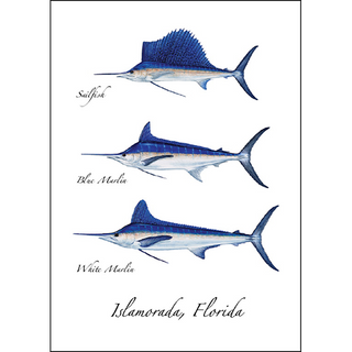 Billfish image 0