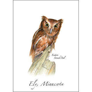 Eastern Screech-Owl image 0