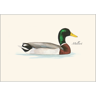 Sibley Duck Assortment image 2