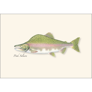 Salmon Assortment image 2