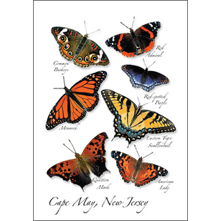 Mid-Atlantic Butterfly I image 0
