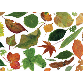 Leaves<br>(namedrop unavailable) image 0