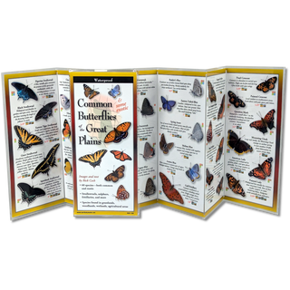 Common Butterflies of the Great Plains image 1