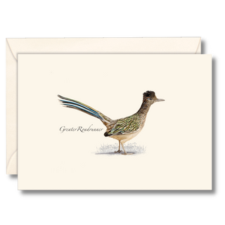 Roadrunner image 0
