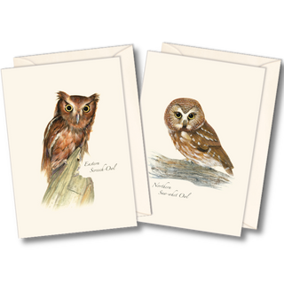 Owl Assortment image 0