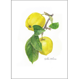 Golden Delicious image 0