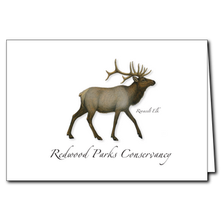 Roosevelt Elk image 0